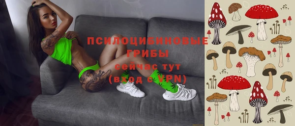 соль курить ск Алексин