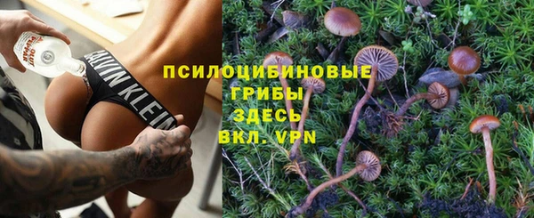 соль курить ск Алексин